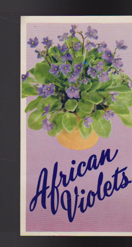 African Violets Brochure 1950s Atlas Fish Emulsion Fertilizer