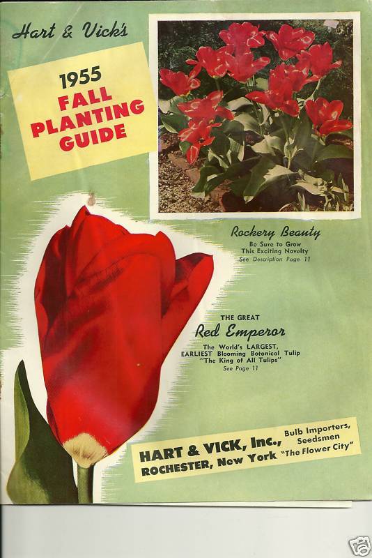 Hart & Vick's Fall Planting Guide 1955 Catalog Red Empress Rose