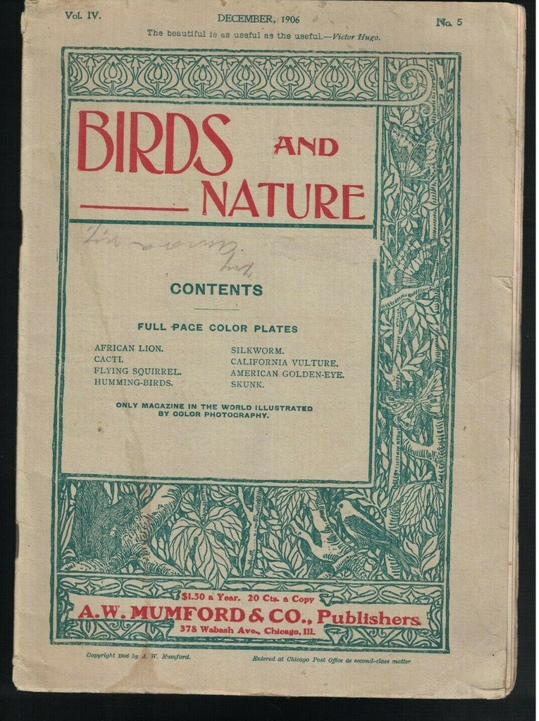 Birds and Nature Magazine Lot of 4 1900s Color Prints African Lion Skunk Vulture