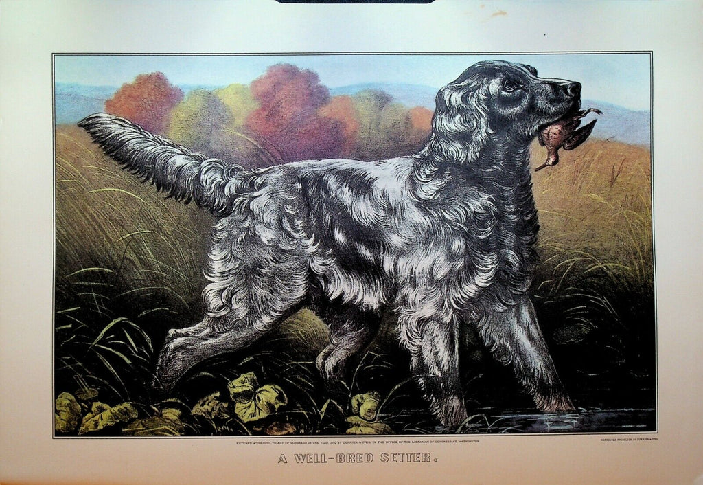 Currier & Ives Calendar Topper 1973 A Well-Bred Setter Dog