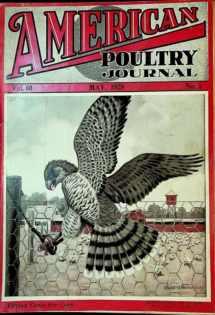 American Poultry Journal May 1929 Broilers Chickens Hens