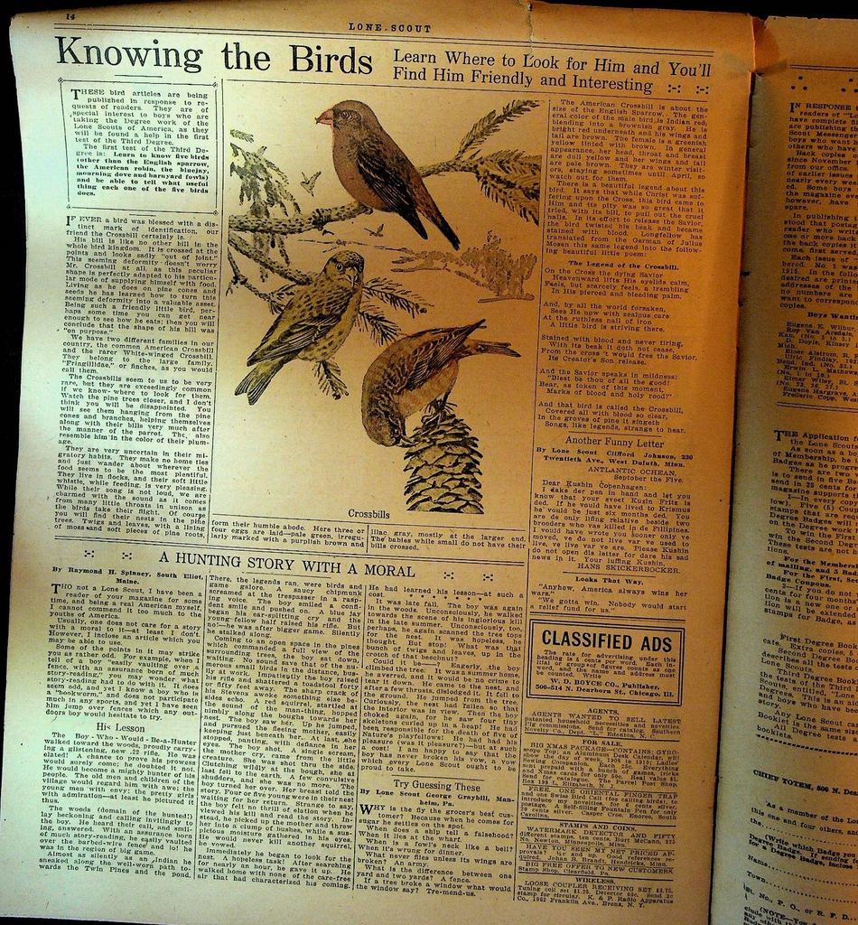 Lone Scout Magazine December 9 1916 Ice Boat Crossbills Bird