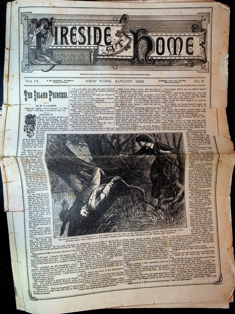 Fireside at Home Magazine August 1883 MT Caldor Monticello Peter Cooper
