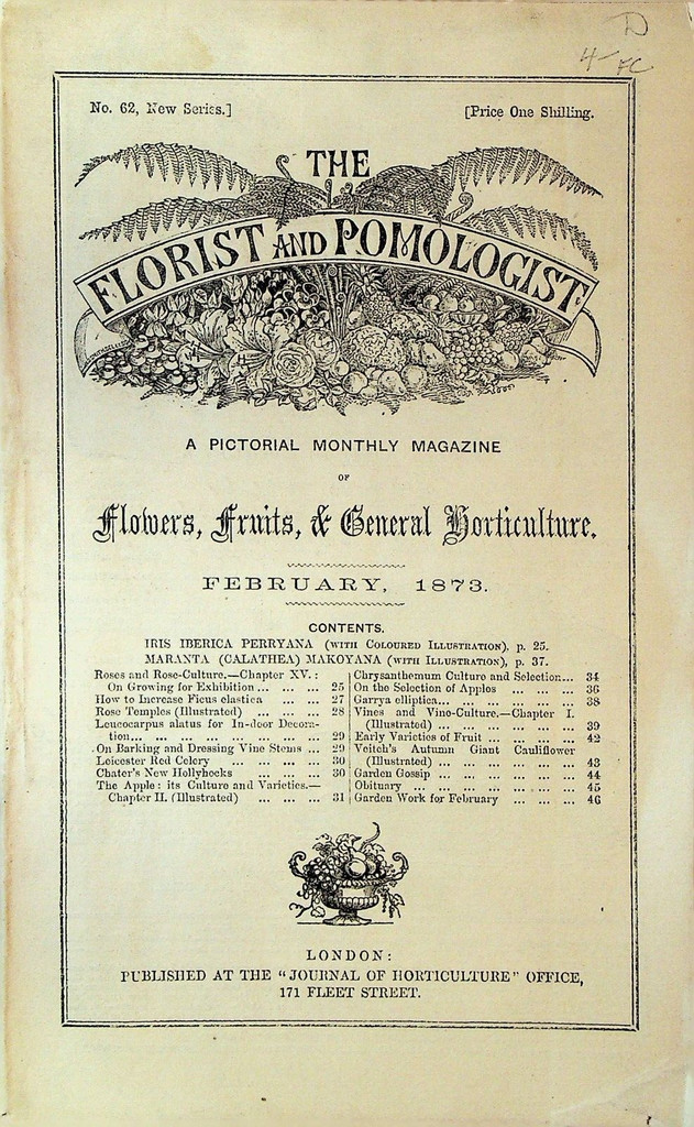 Florist & Pomologist Magazine February 1873 Flowers Fruits Horticulture