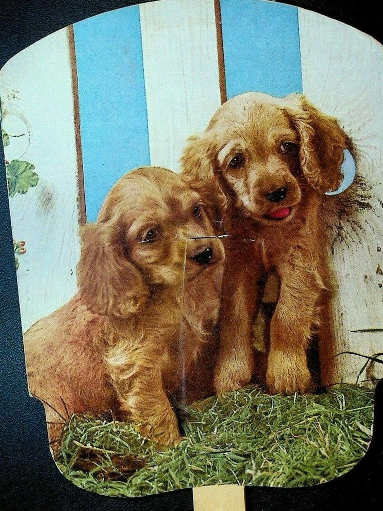 Advertising Fan AD Kern Neffs Pennsylvania Cocker Spaniel Dog