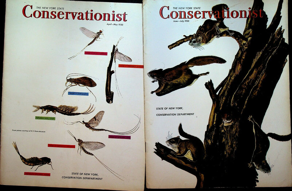 New York State Conservationist 1950s Lot of 5 Steuben County Long Island