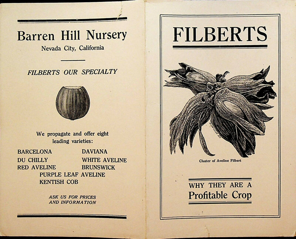 Filberts Brochure Barren Hill Nursery Nevada City California 1920s Crop
