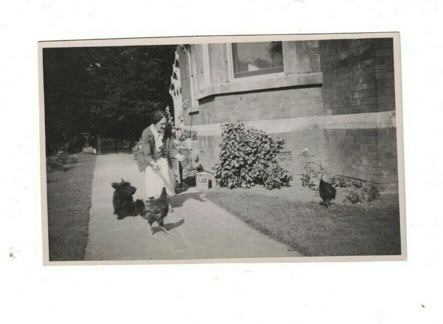 Scottish Terrier Scottie Dog RRPC Lady With Roosters & Lux Soap