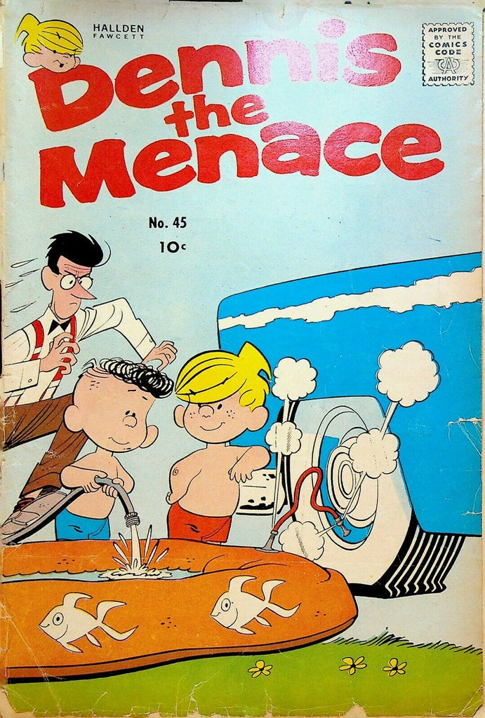 Dennis the Menace 45 1960 Inflatable Pool Hallden