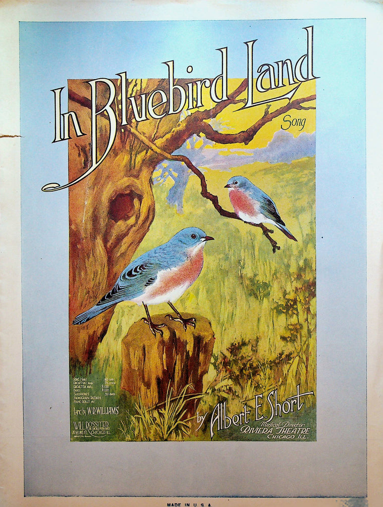 In Bluebird Land Sheet Music