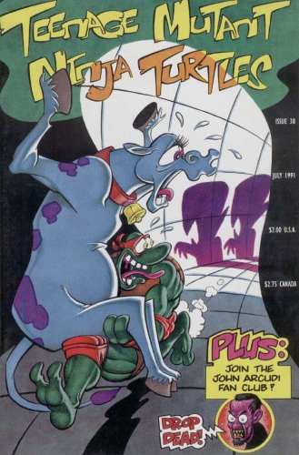 Teenage Mutant Ninja Turtles #38 (1st series)
