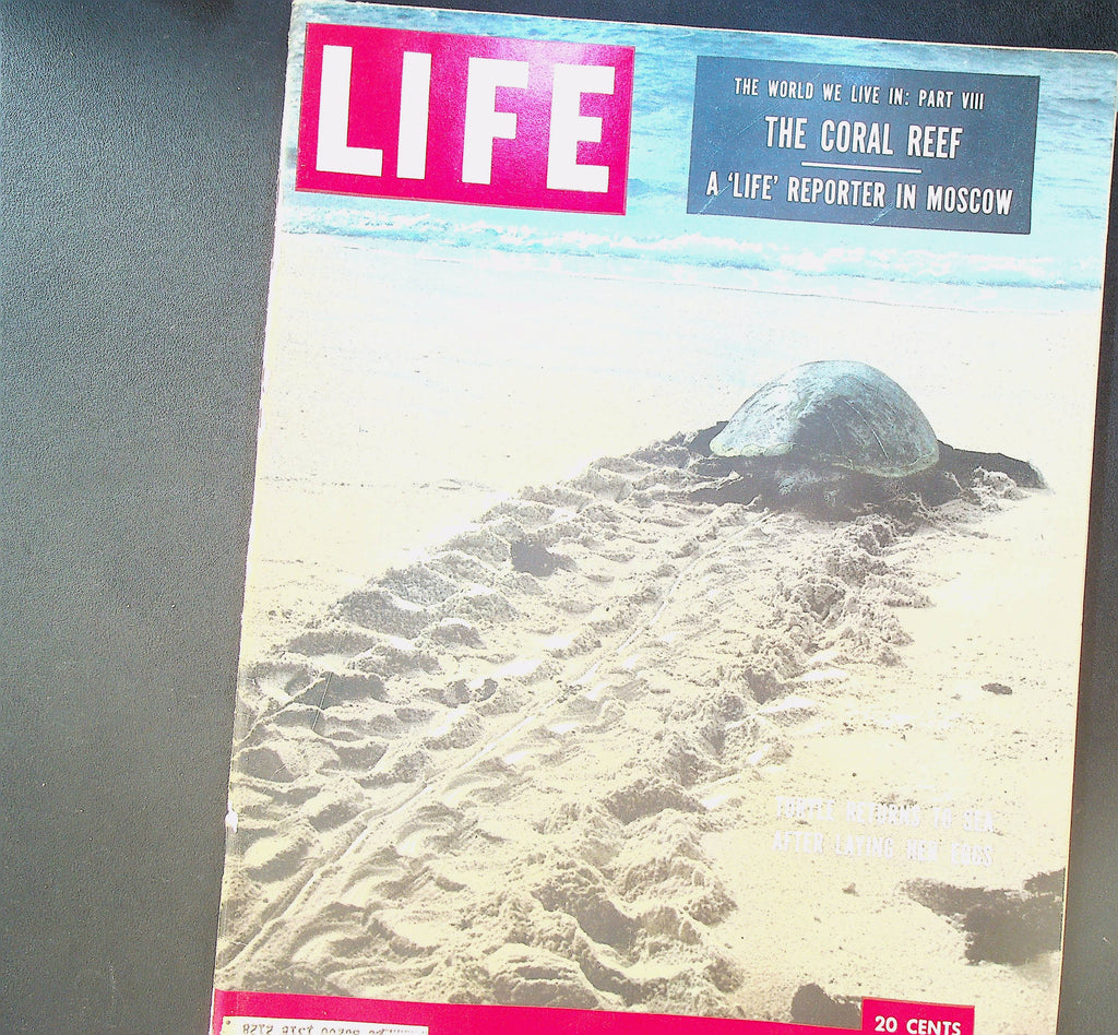 Life Magazine February 8 1954 Coral Reef