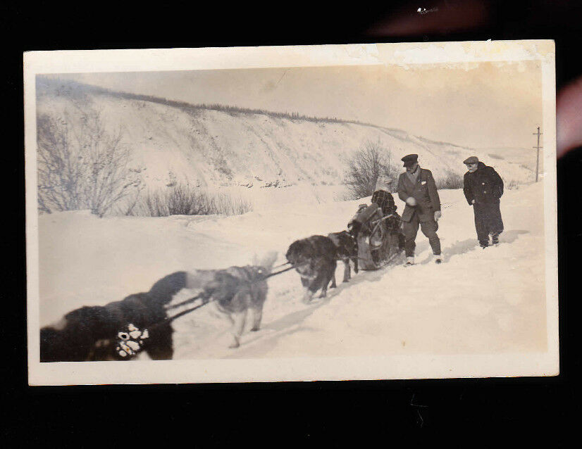 Dog Sledding Unused RPPC postcard (1920s) Made in Canada