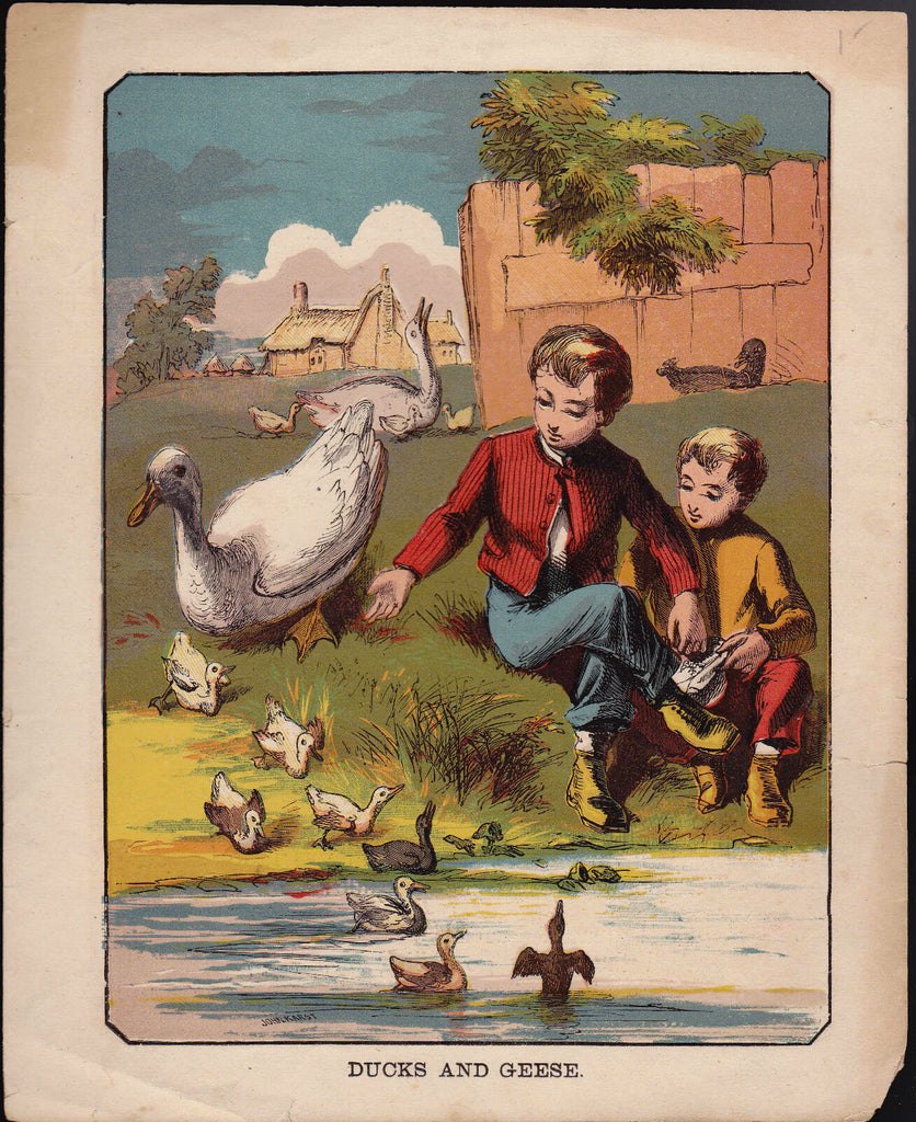 The Stray Lamb & Ducks and Geese vintage print (7 1/2 x 9)