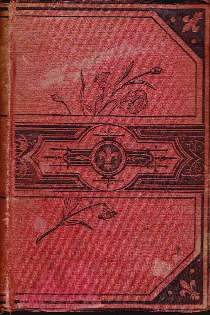 Lapsed But Not Lost (Dodd Mead & Co) Hardcover