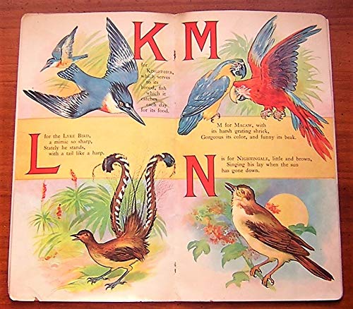 ABC Book of Birds (Folio, Color Illustrated)