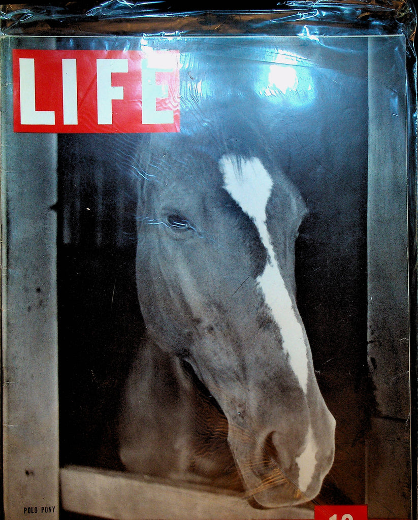 Life Magazine July 26 1937 Polo Pony
