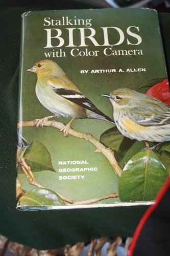 Stalking birds with color camera,